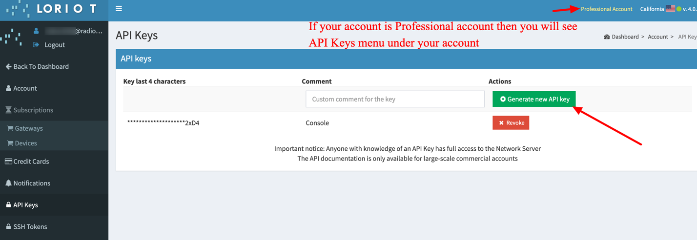 API Keys Loriot